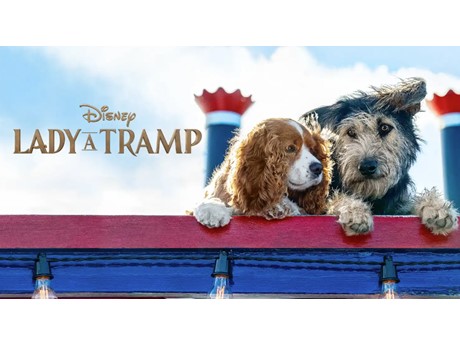 Movie Night: Lady and the Tramp (2019)