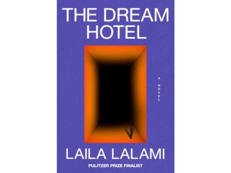 cover of Dream Hotel