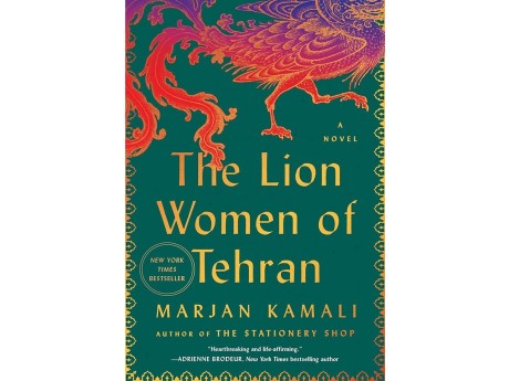 cover of the book lion women of tehran