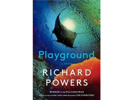cover of Playground