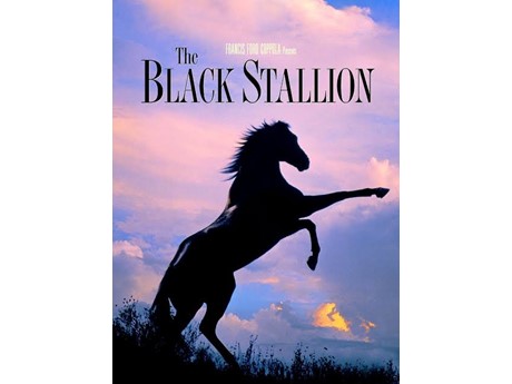 Black Stallion book cover