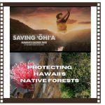 2 documentary titles in a film frame