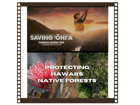 2 documentary titles in a film frame