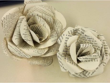 book page roses