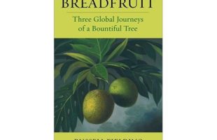 Book Cover of Breadfruit