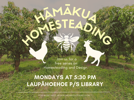 An orchard with green grass and a pathway between the trees with silhouettes of a chicken, bee, and goat. The words Hāmākua Homesteading Mondays @ 5:30 pm Laupāhoehoe P/S Library are across the photo.