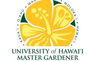 Logo with a yellow hibiscus and green text reading "University of Hawaii Master Gardener College of Tropical Agriculture and Human Resilience".