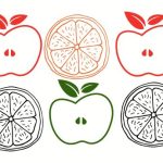 Outlines of oranges and apples' halves in different colors