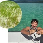 A smiling person holds a snorkel on a boat in clear turquoise water. Inset shows close-up of green seagrass on white sand underwater.