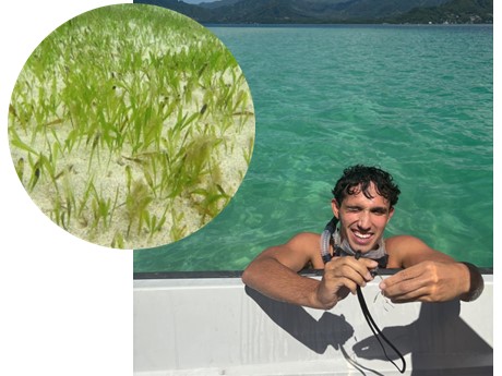 A smiling person holds a snorkel on a boat in clear turquoise water. Inset shows close-up of green seagrass on white sand underwater.