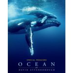 Two majestic whales swim gracefully underwater against a deep blue background. Text reads "Special Premiere: Ocean with David Attenborough."