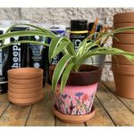 A light green spider plant in a terra cotta pot with floral designs painted on it. Unpainted pots and painting supplies in the background.