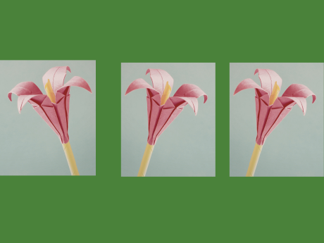 pink origami flowers on green background