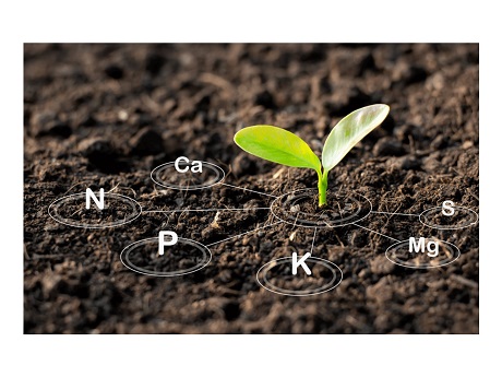 soil health gardening environment