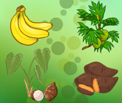 Banana, breadfruit, taro, sweet potato