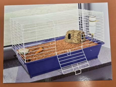 empty bunny cage