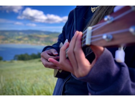 Close up of hands playing a ukulele on a beach