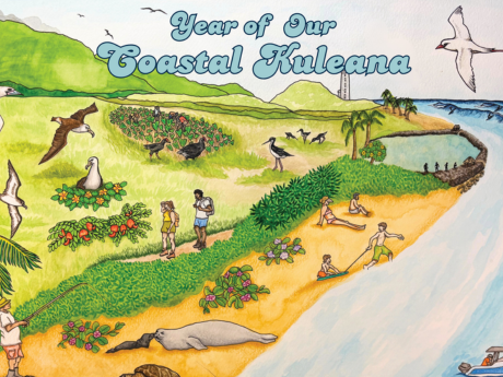 Illustration of a coastal environment including beaches, tide pools, fish ponds, native birds, native plants, and people. Text reads "Year of our Coastal Kuleana"