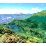 picture of a reef in the NW Hawaiian Islands