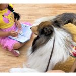Little girl in a pink and yellow outfit reading to a collie