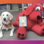 Therapy dog