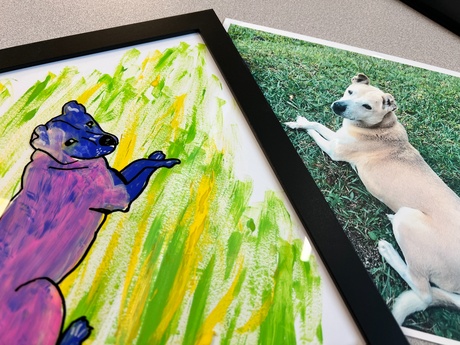 Framed colorful pet portrait next to a photograph of a dog used as the painting reference.