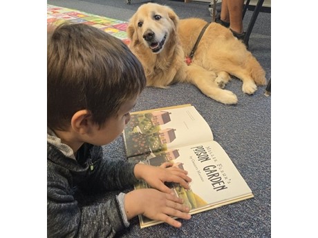 Boy reading to a therapy dog