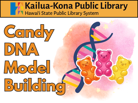 Candy DNA Model Building