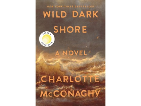 A book cover with waves and birds